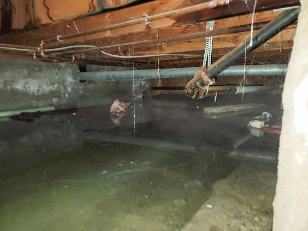 Best Emergency water damage restoration  in Rockville Centre, NY