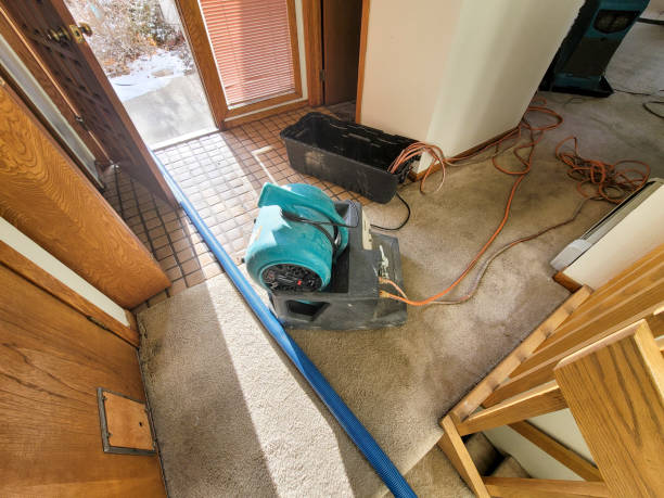 Best Commercial water damage restoration  in Rockville Centre, NY