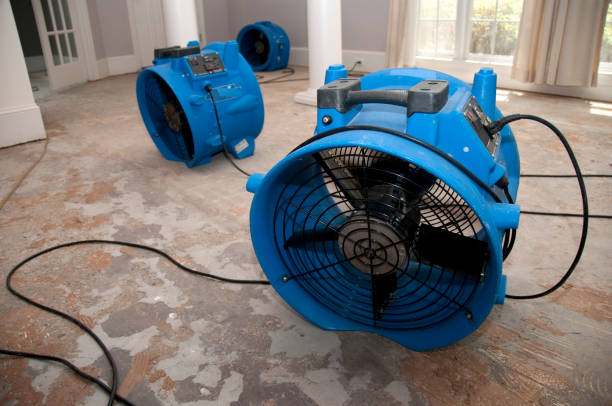 Best Carpet water damage restoration  in Rockville Centre, NY