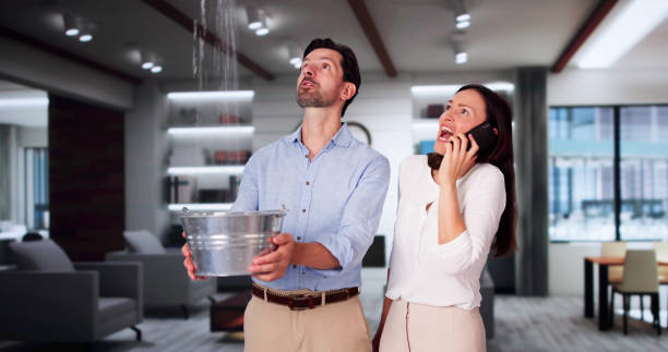 Best Water damage contractors near me  in Rockville Centre, NY